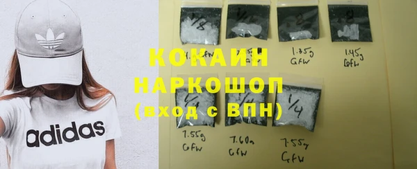 хмурый Каменногорск