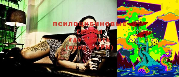хмурый Каменногорск