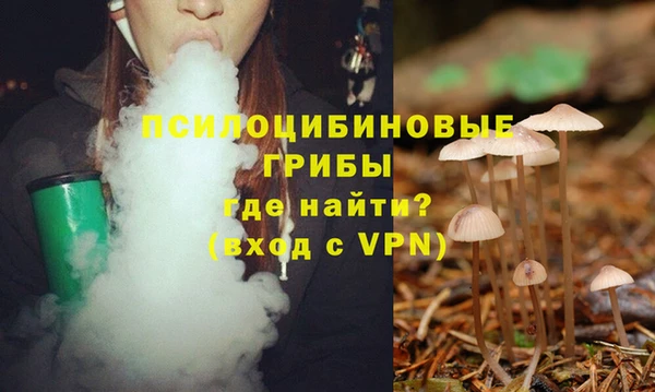 первитин Каменка