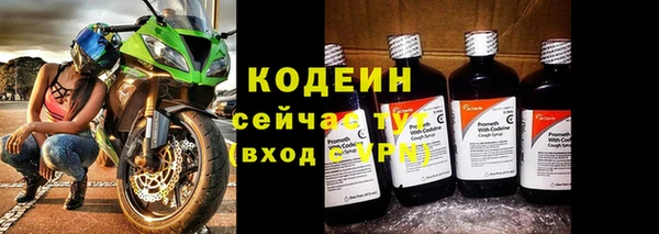 первитин Каменка