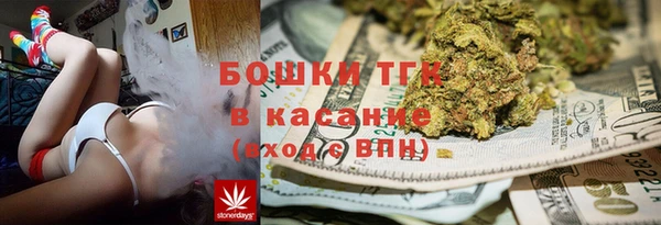 дмт Краснослободск