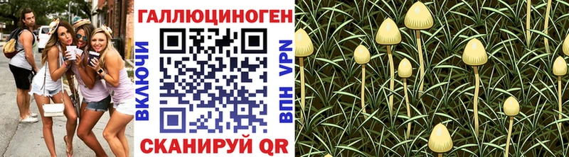 Галлюциногенные грибы ЛСД  купить закладку  блэк спрут ссылка  Малгобек 