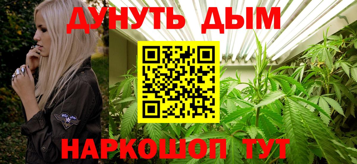 Каннабис планчик Малгобек